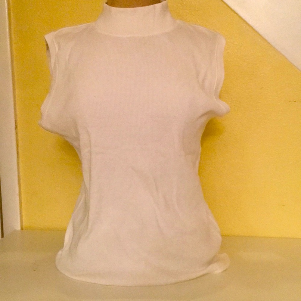 A white turtle neck shirt, in very good condition!
